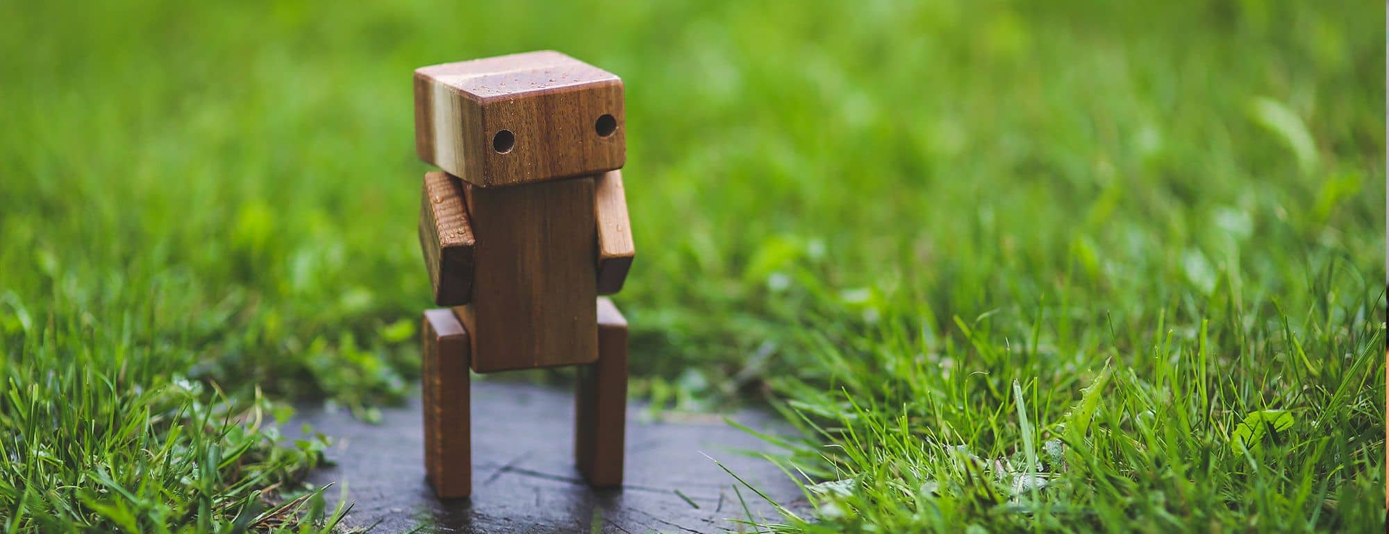 Edit Robots.txt with WordPress and Yoast